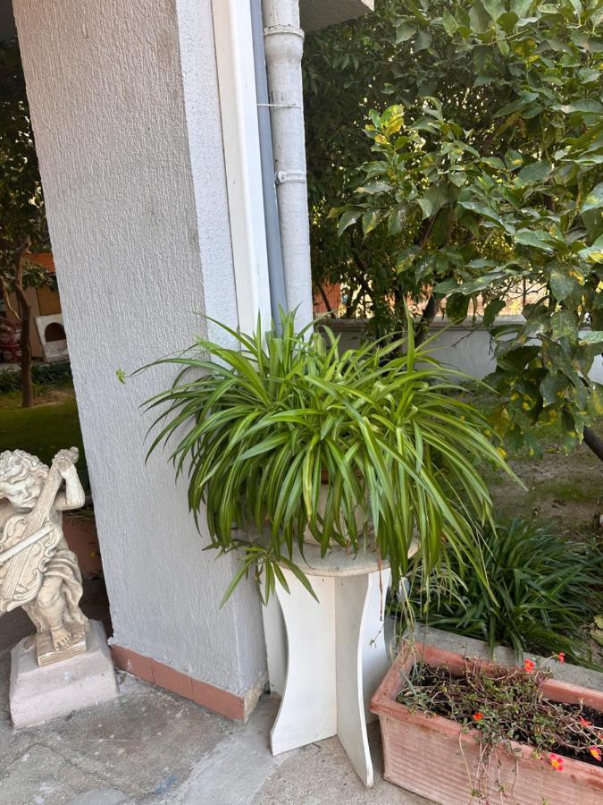 Ajoaolbia B&B ภายนอก รูปภาพ